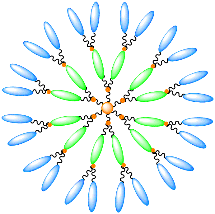 Représentation schématique d'un dendrimère fluorescent